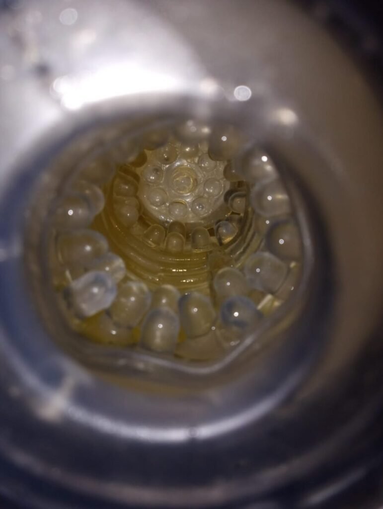 61rP6nFRQFL