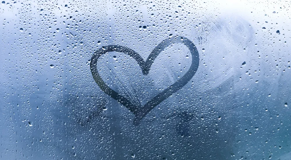 Best Rainy Day Indoor Sex Toys 2025