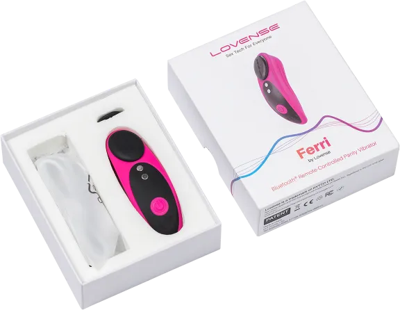 Remote Controlled Vibrating Panties